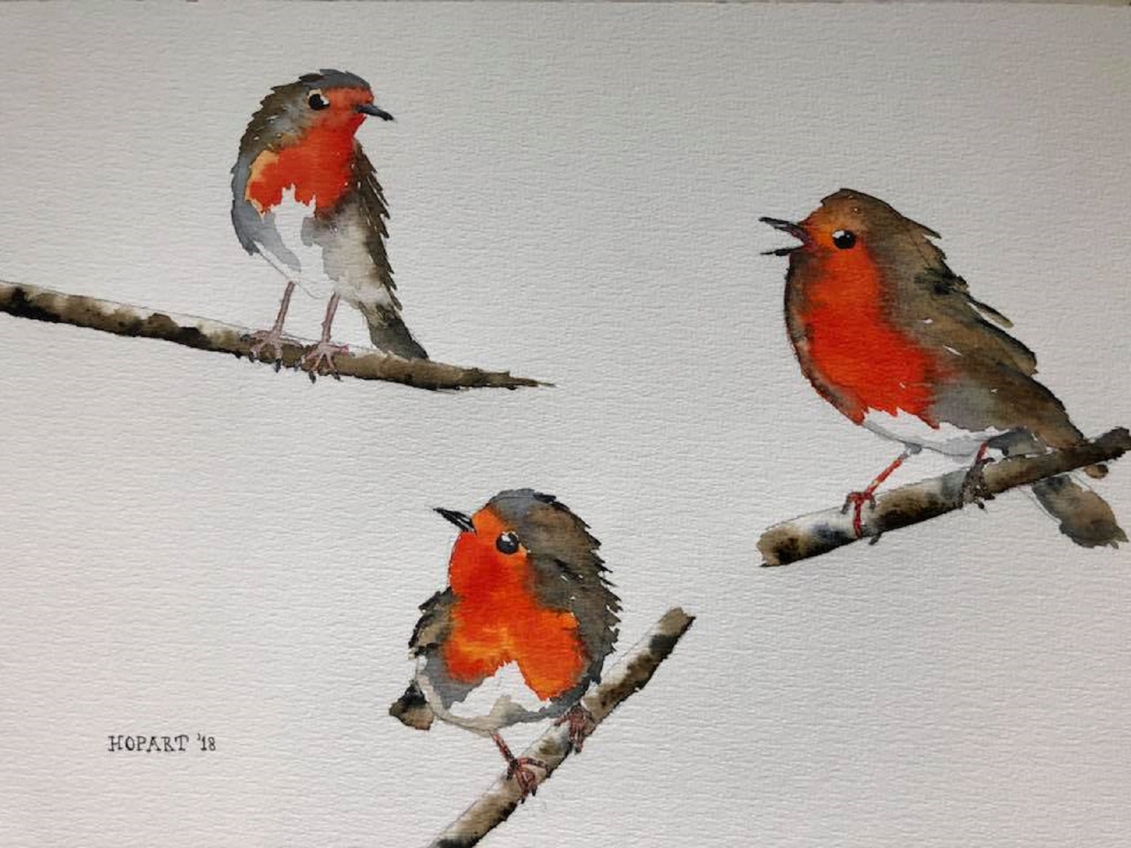 Robins aquarel study, 30 x 40 cm