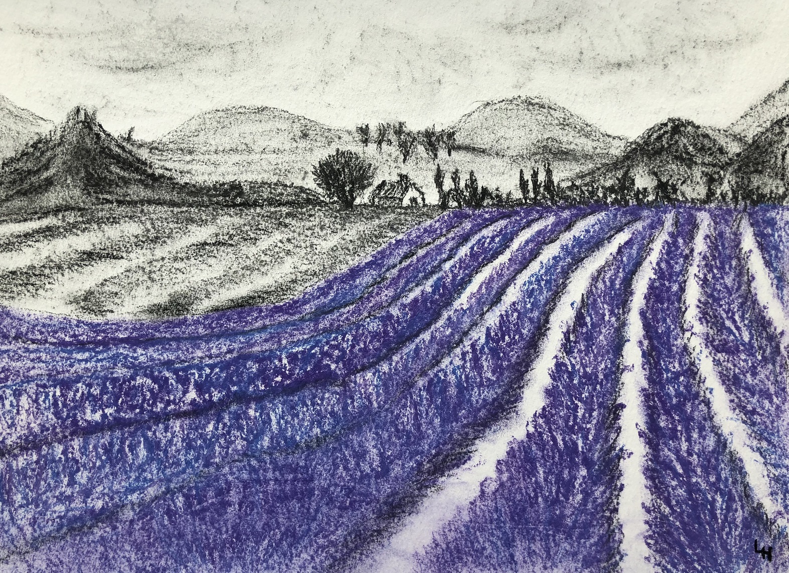 Landscape with lavender on paper